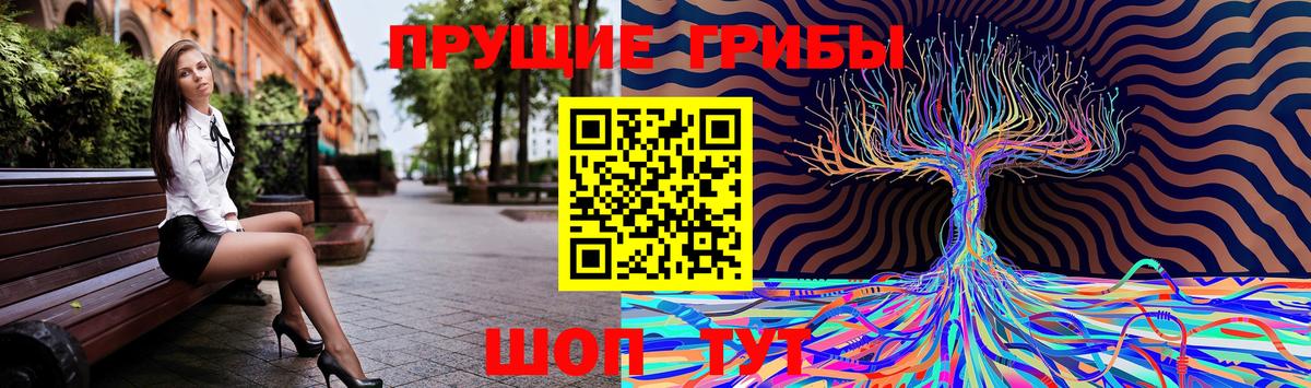 Псилоцибиновые грибы прущие грибы Мирный