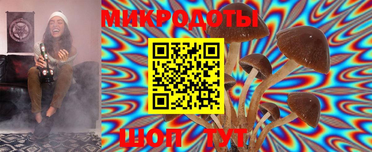 Галлюциногенные грибы MAGIC MUSHROOMS  Псилоцибиновые грибы Psilocybe  Мирный 