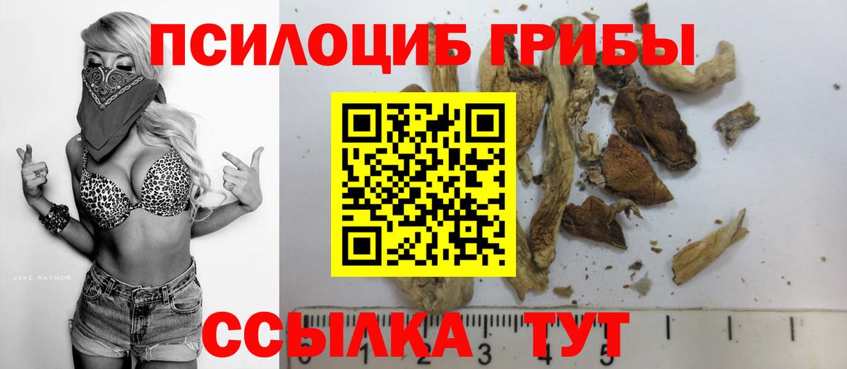 Псилоцибиновые грибы Cubensis  Вход с VPN  Мирный 